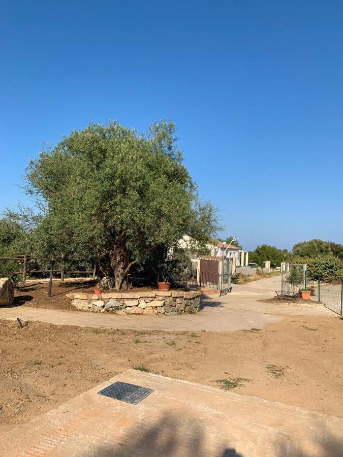 Вілла Sardegna "Ri-Ale" A Due Passi Dal Mare Bari Sardo - Ogliastra - Cod Iun Q8596 Екстер'єр фото